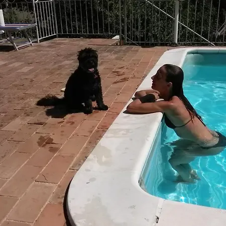 Casale Civetta - Con Piscina *