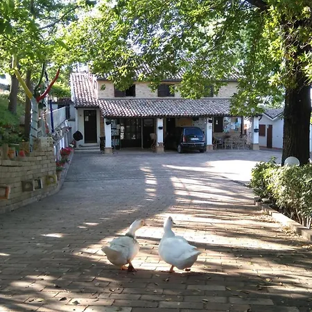 Casale Civetta - Con Piscina Senigallia