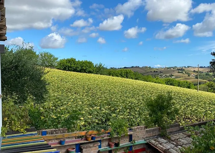 Apartment Casale Civetta Senigallia