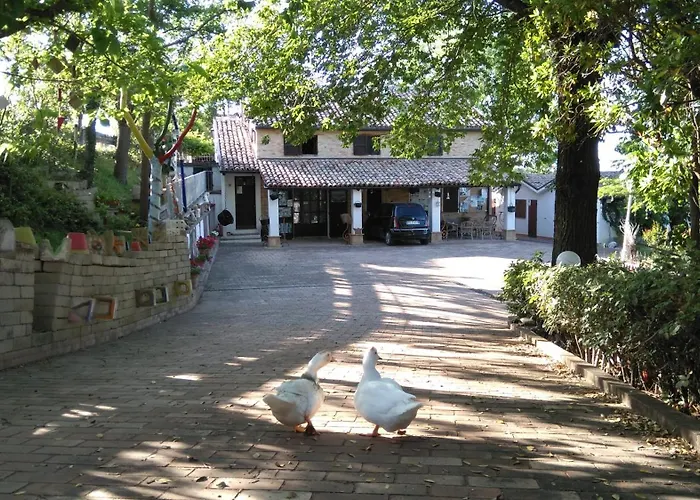 Casale Civetta Сенігаллія